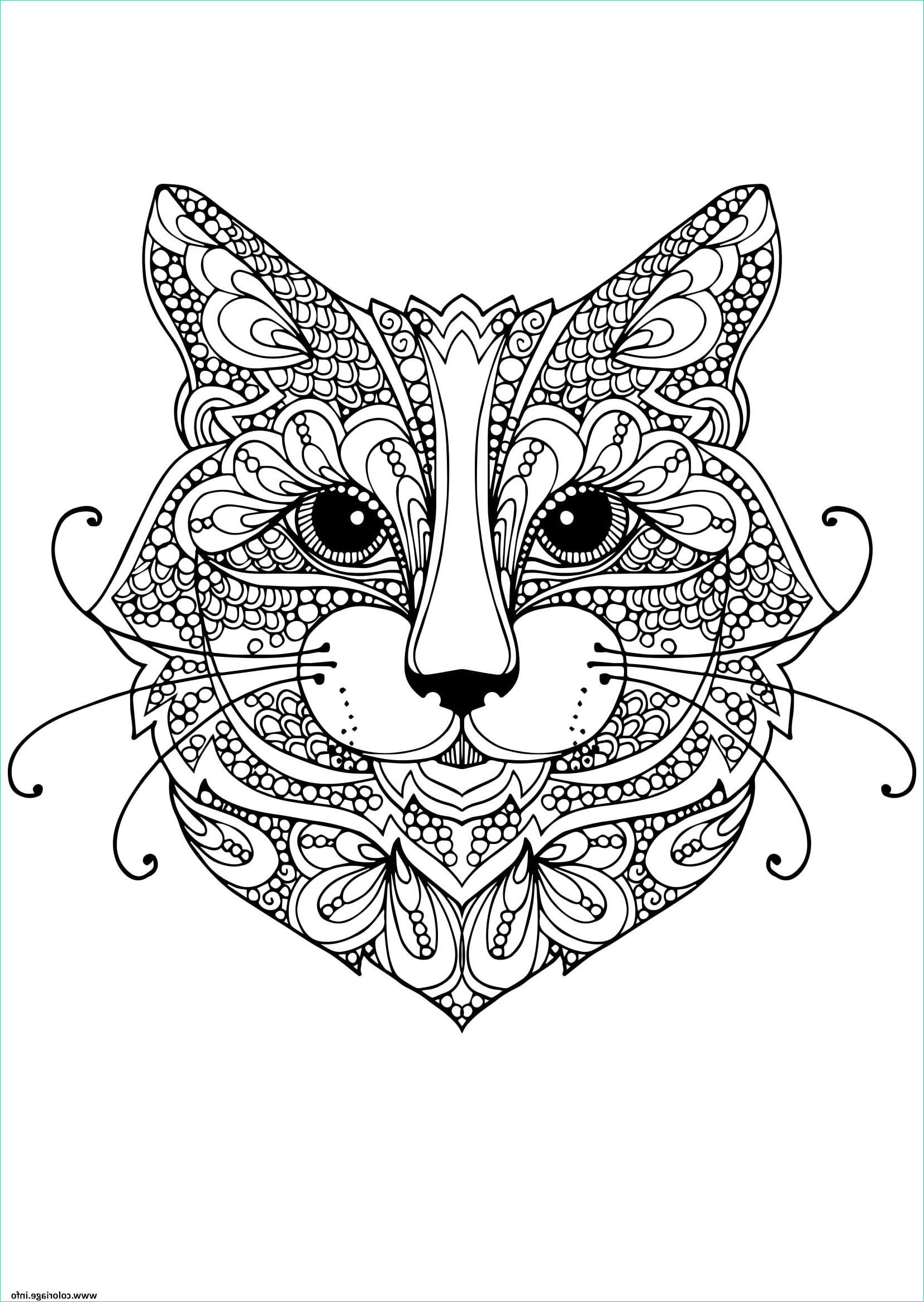 Coloriage Anti Stress Animaux Cool Collection Coloriage Chat Mandala Adulte Anti Stress Dessin