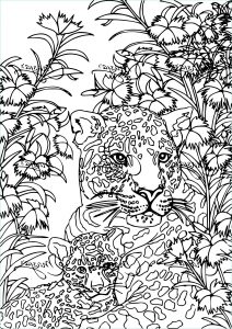 Coloriage Anti Stress Animaux Nouveau Photos Coloriage Anti Stress Tigre à Imprimer Sur Coloriages Fo