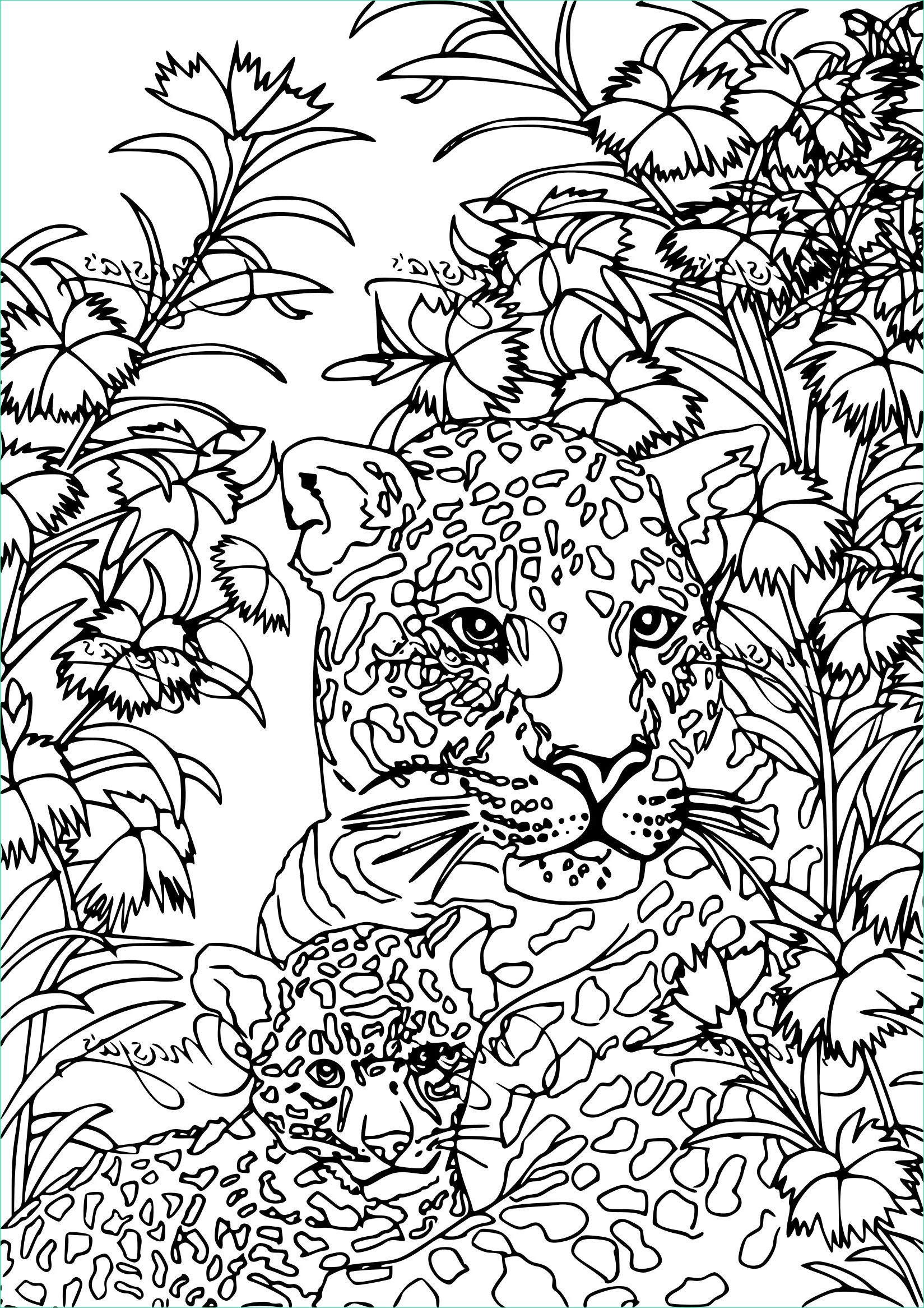 Coloriage Anti Stress Animaux Nouveau Photos Coloriage Anti Stress Tigre à Imprimer Sur Coloriages Fo