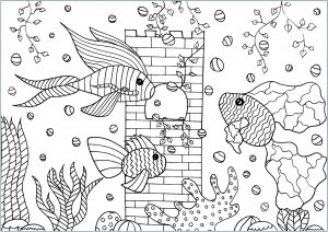 Coloriage Aquarium Impressionnant Stock Tree Fishes In A Aquarium Fishes Adult Coloring Pages