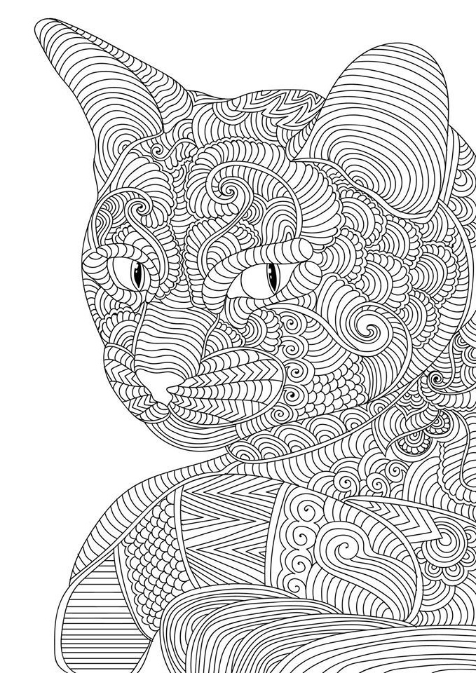 Coloriage Chat Mandala Bestof Image Cat Coloring Page