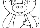 Coloriage Cochon D&#039;inde Beau Photos Coloriage Les 3 Petit Cochons