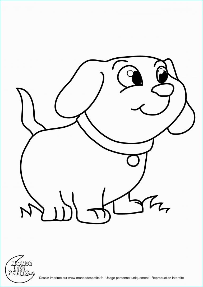 Coloriage De Chiot Nouveau Photos Coloriage Trop Beau Beau S Dessin De Chiot Beau Best