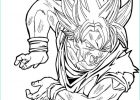 Coloriage De Dragon Ball Super Nouveau Collection Coloriage Dragon Ball Z Sangoku Super Sayen 4 Awesome 50