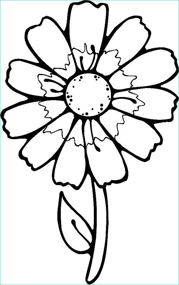 Coloriage Fleur Simple Nouveau Image Coloriage Fleur Blanche Dessin Gratuit à Imprimer