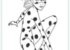 Coloriage Miraculous Ladybug Et Chat Noir Inspirant Stock Miraculous Les Aventures De Ladybug Et Chat Noir
