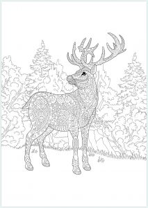 Coloriage Noel Difficile Inspirant Images Un Cerf Majestueux Dans La forêt Beaucoup De Détails