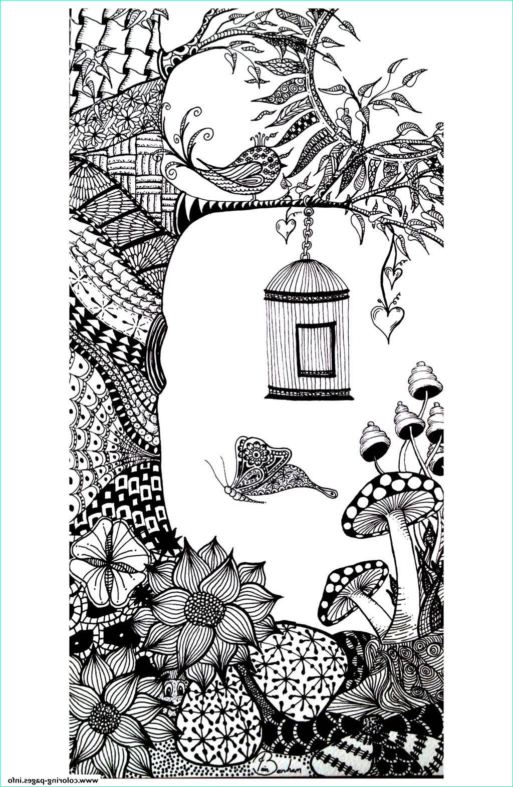 Coloriage Oiseau Adulte Unique Image Adult Animals Bird butterfly Coloring Pages Printable