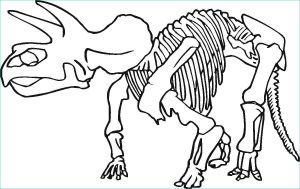 Coloriage Os Bestof Photographie Dinosaur Skeleton Coloring Pages at Getcolorings