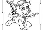 Coloriage Patpatrouille Luxe Photographie 10 Coloriage Blaze A Imprimer