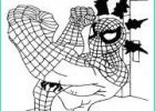 Coloriage Spiderman Moto Beau Stock Coloriage Spiderman Avec Sa Spider Moto Auto Tres Rapide