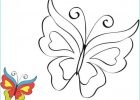 Dessin à Colorier Papillon Impressionnant Photos Coloriage Magnifique Papillon Gratuit à Imprimer Liste 20 à 40