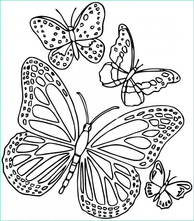 Dessin à Colorier Papillon Unique Image Coloriage Paysage De Papillon En Ligne Dessin Gratuit à