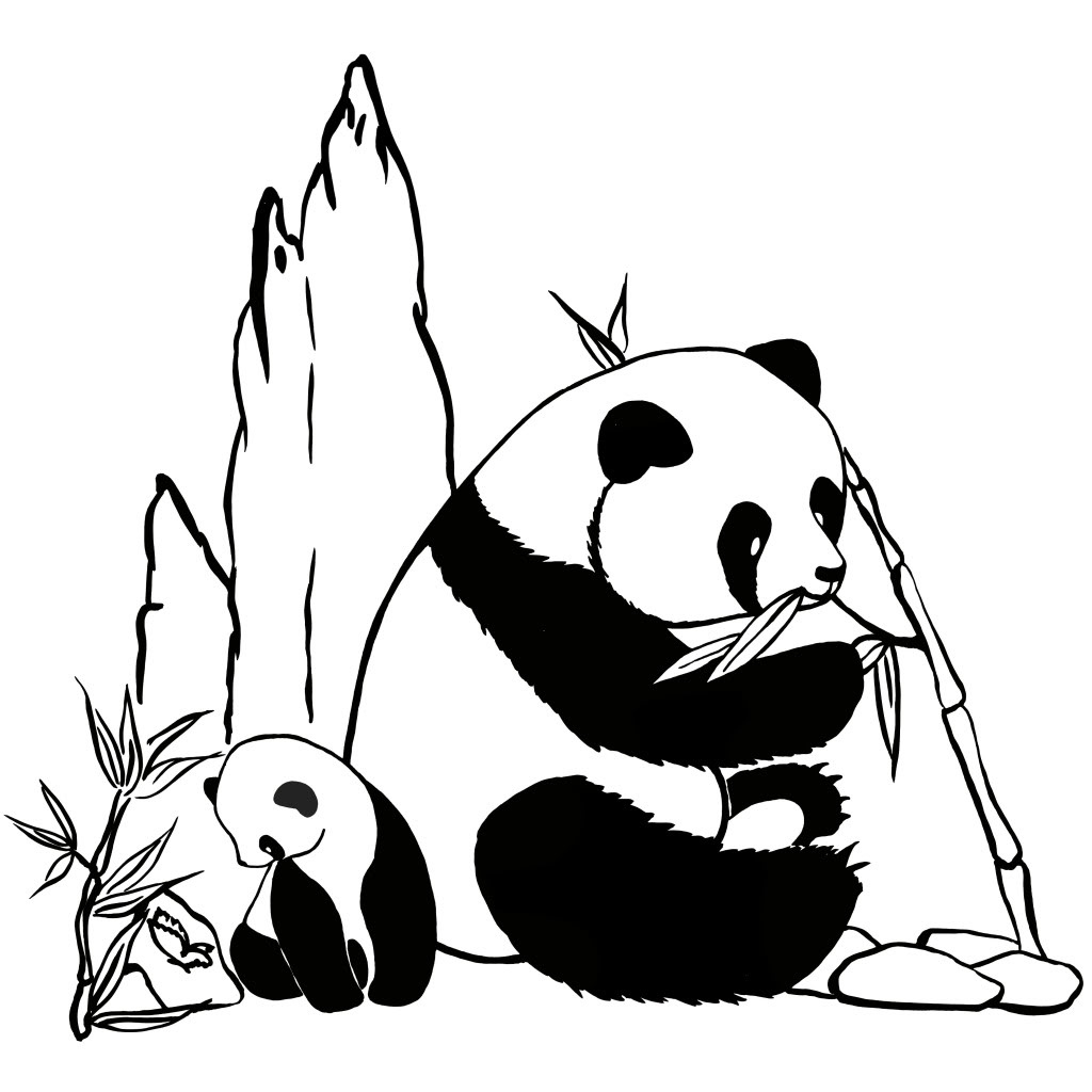 Dessin A Imprimer Panda Unique Image Coloriage De Panda à Imprimer