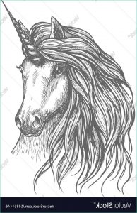Dessin Animaux Fantastique Beau Image Unicorn Fantastic Horse Sketch for Tattoo Design Vector Image