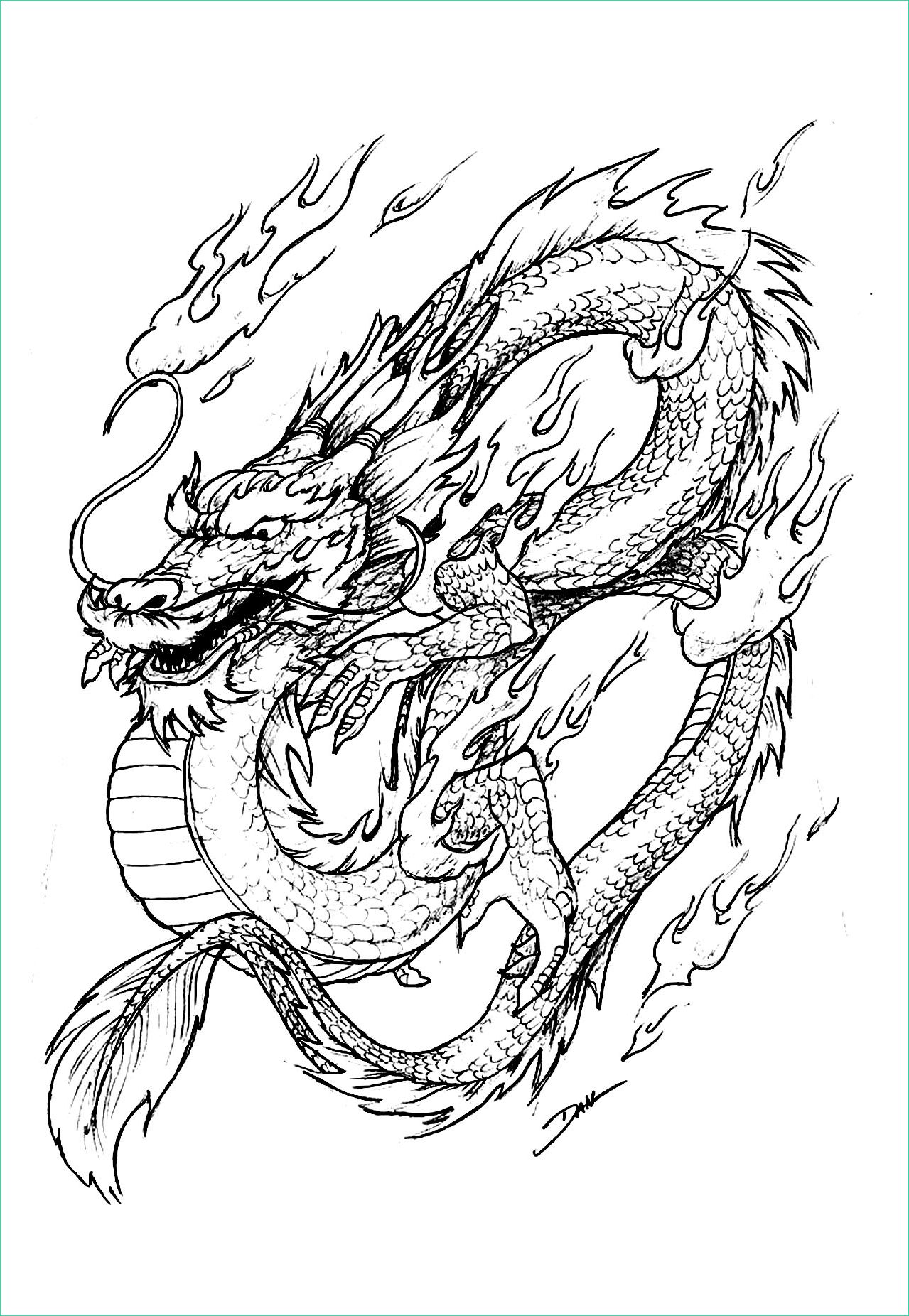 Dessin Chinoise Unique Galerie Dragon Chinois Chine asie Coloriages Difficiles Pour
