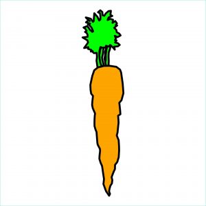 Dessin Crotte Beau Collection Carrot Simple Drawing Free Stock Public Domain