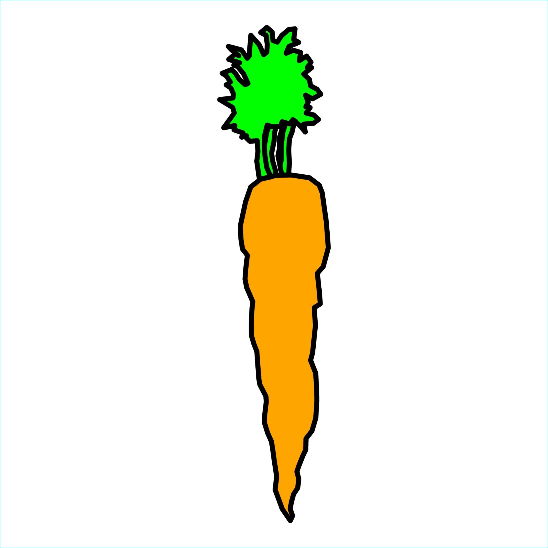 Dessin Crotte Beau Collection Carrot Simple Drawing Free Stock Public Domain