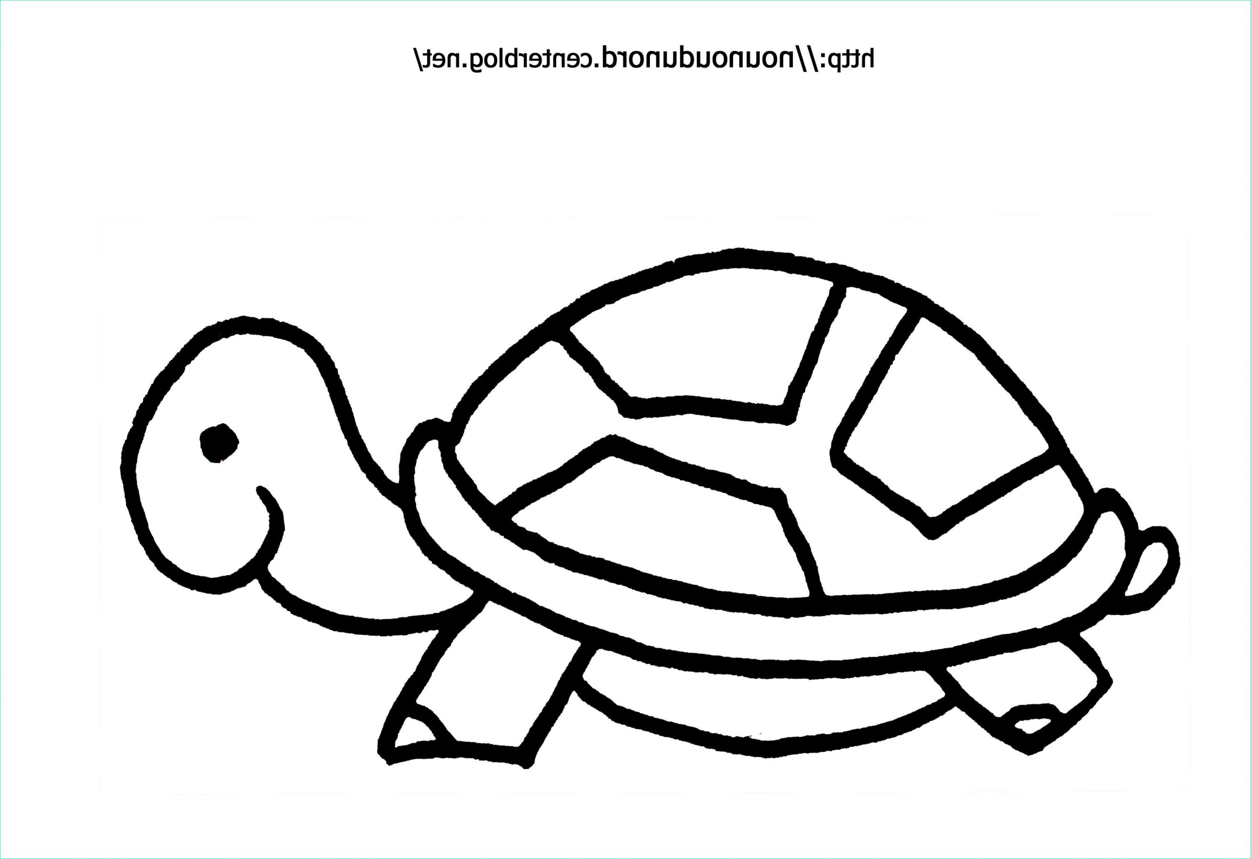 Dessin De tortue Facile Beau Photos 69 Dibujos De tortugas Para Colorear Oh Kids