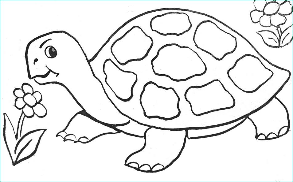 Dessin De tortue Facile Cool Galerie Nos Jeux De Coloriage tortue à Imprimer Gratuit Page 6 Of 7