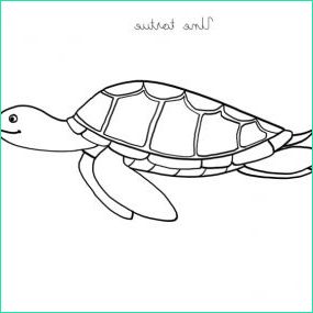 Dessin De tortue Facile Inspirant Stock Apprendre à Dessiner Une tortue En 3 étapes