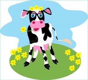 Dessin De Vache Rigolote Élégant Stock Vache à Marguerite Illustration Stock Illustration Du