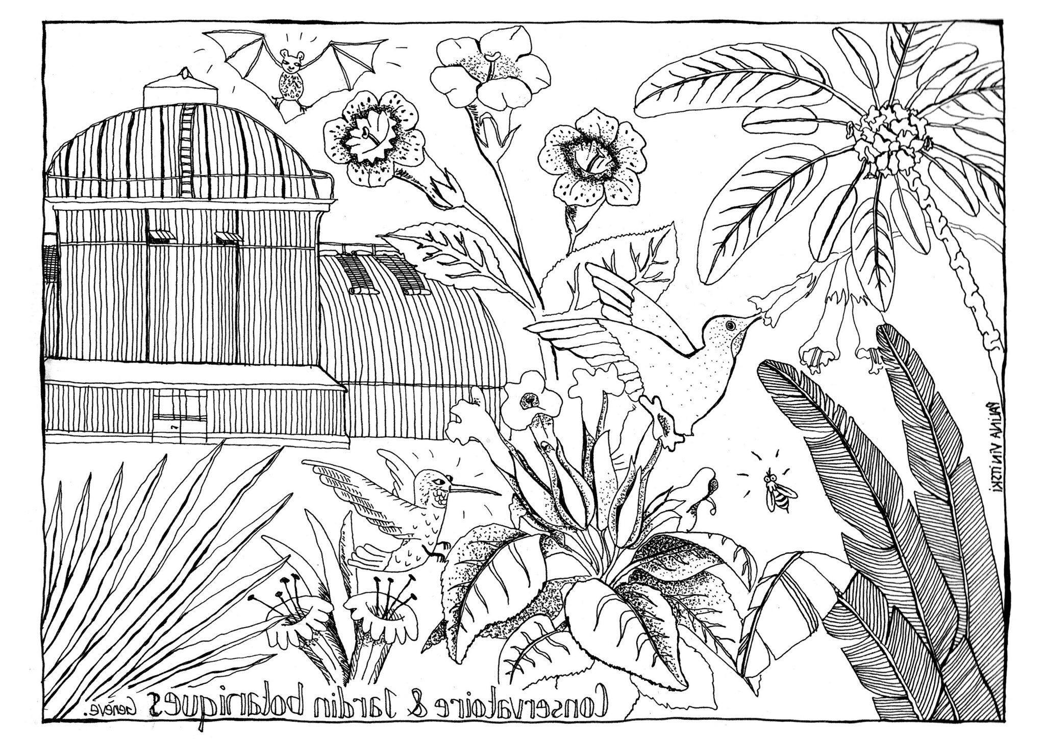 Dessin Fleur Tropicale Beau Photos Fleurs Tropicales Coloriage