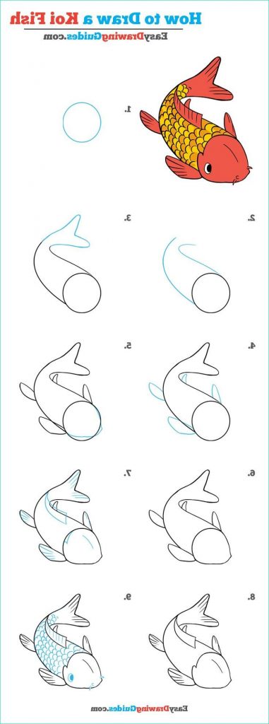 Dessin Poisson Simple Bestof Galerie How to Draw A Koi Fish Really Easy ...