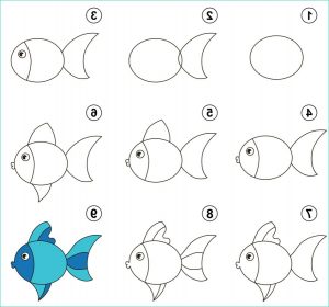 Dessin Poisson Simple Bestof Photos Apprendre à Dessiner Un Poisson Bicolore