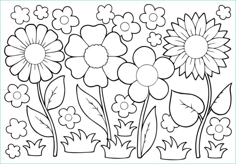 Dessin Printemps Maternelle Luxe Photos Coloriage à Imprimer Petites