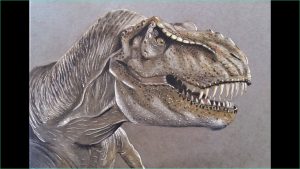 Dessin T Rex Cool Photos Dessiner Un T Rex Réaliste Draw Realistic T Rex