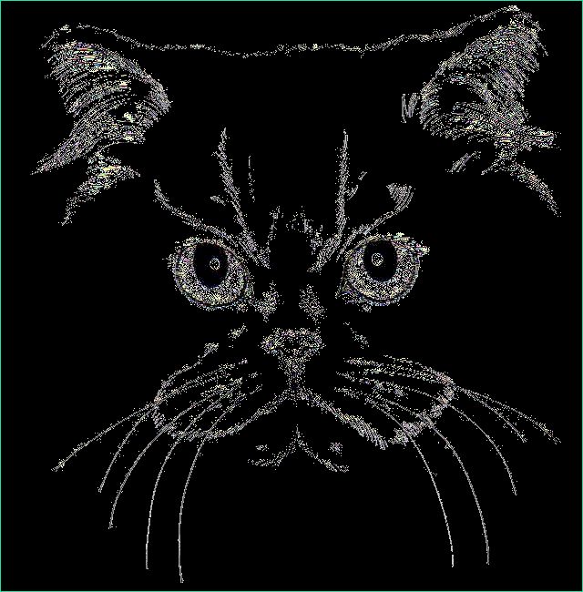 Dessin Tete Chat Impressionnant Images Animaux