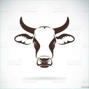 Dessin Vache Simple Bestof Image Vecteur Dun Dessin De Tête De Vache Sur Fond Blanc Animaux