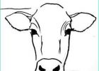 Dessin Vache Simple Impressionnant Photos Step by Step Cow Drawing Face Google Search …
