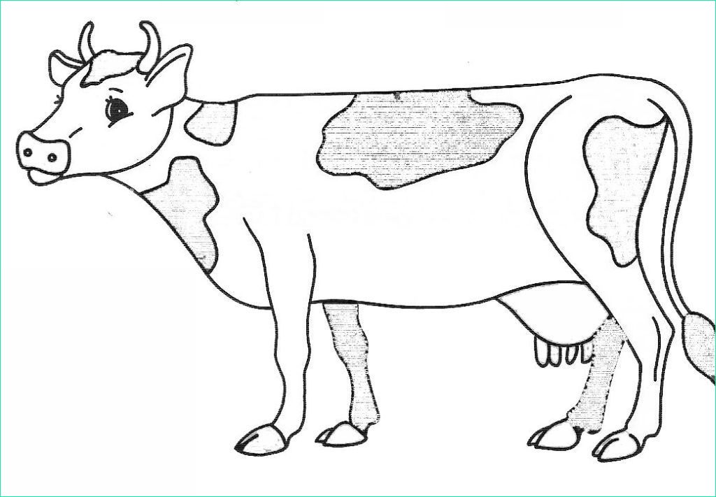 Dessin Vache Simple Inspirant Images 15 Meilleur De Dessin Facile Vache Graphie