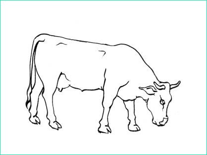 Dessin Vache Simple Nouveau Galerie 15 Meilleur De Dessin Facile Vache Graphie