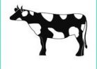 Dessin Vache Simple Unique Stock Simple Blanc Noir Vache Simple Blanc Noir Dessin