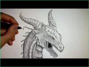 Dessins Dragon Inspirant Photos Ment Dessiner Une Tête De Dragon [tutoriel]