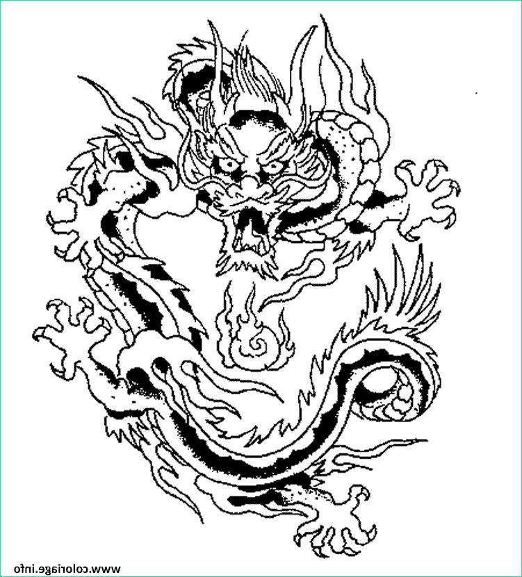 Dragon Chinois Dessin Simple Bestof Photos Coloriage Dragon Chinois 6 Jecolorie