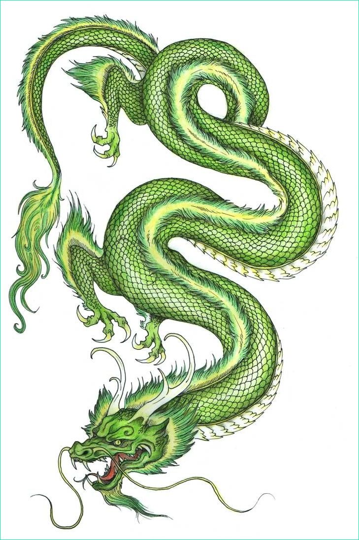 Dragon Chinois Dessin Simple Nouveau Galerie Just A Chinese Dragon by Hironi En 2019