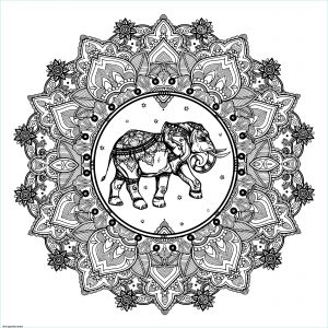éléphant Coloriage Luxe Image Coloriage Adulte Mandala Elephant Inde Dessin