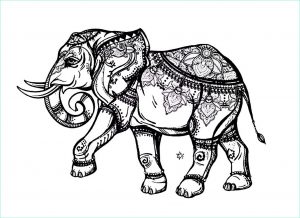 éléphant Coloriage Unique Galerie Elephant Elegant Eléphants Coloriages Difficiles Pour