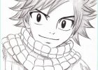 Fairy Tail Dessin Natsu Bestof Collection Natsu Dragneel 1 by Reetab On Deviantart