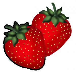 Fraise Dessin Inspirant Stock Fraises Strawberries