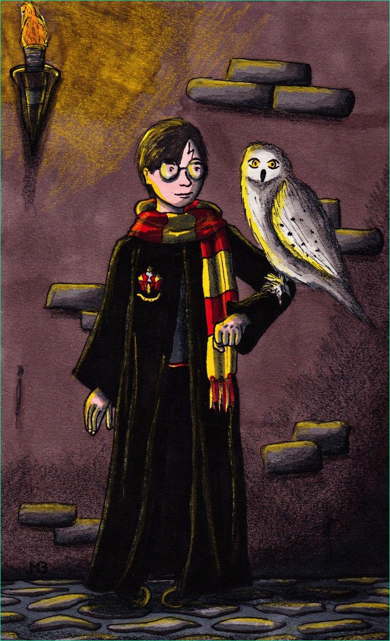 Hedwige Dessin Luxe Images Meilleures Collections Chouette Hedwige Harry Potter