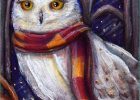Hedwige Dessin Nouveau Collection Les 96 Meilleures Images Du Tableau Hedwige Harry Potter