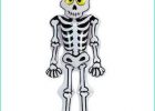 Image Halloween Squelette Cool Photographie Deco Halloween Squelette Achat Vente Deco Halloween