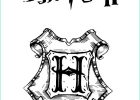 Image Harry Potter à Imprimer Impressionnant Photos Harry Potter and the Philosophers Stone Coloring Pages