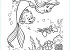 La Petite Sirene Coloriage Élégant Photos Ariel Et Ses Amis sous L Océan Coloriage La Petite