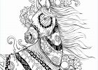 Mandala Animaux Cheval Cool Galerie Coloriage Incroyable Cheval Mandala Adulte Dessin